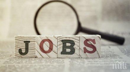 важно безработните губят право помощи заработят сезонно