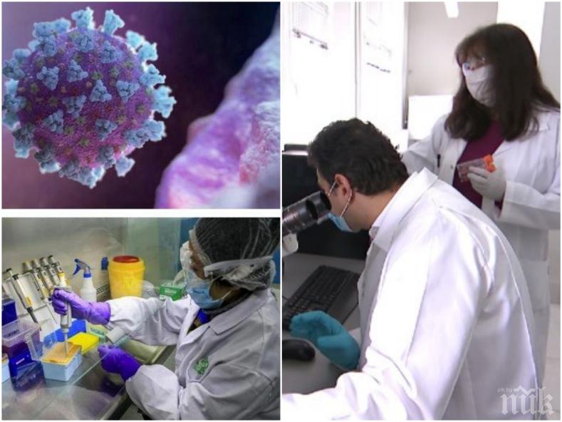 ЕКСПЕРТНО: Български учени със супер новина - топлото време намалява силата на коронавируса