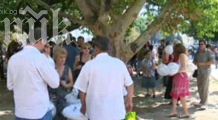 десетки протестираха плевнелиев президентския шадраван