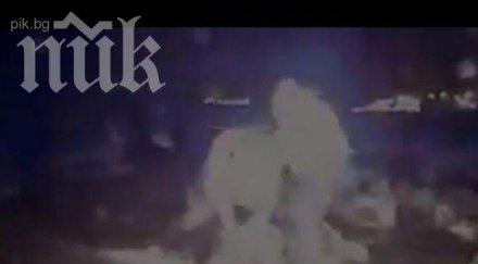 полицаи спукаха бой човек спял колата видео