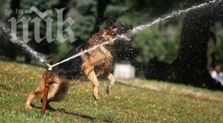 времето слънчево горещо