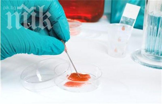 Учени изобретиха лекарство срещу рак