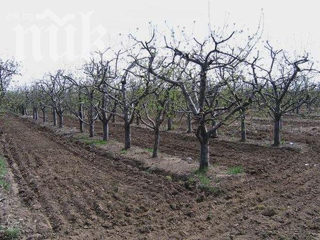 Провадия е в стрес от вчерашния трус