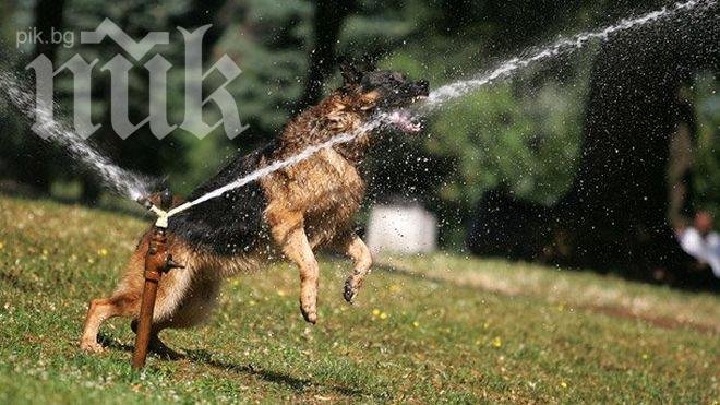 Времето днес – слънчево и горещо