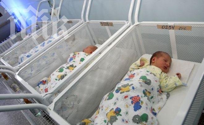 Дева Мария и Исус се родиха в „Майчин дом“