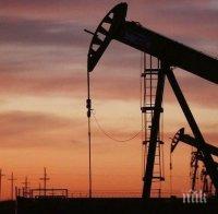 ШОКИРАЩА ПРОГНОЗА: Цените на петрола ще достигнат 120-150 долара за барел