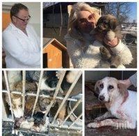 ДОКОГА? Безчинствата в карцера на ужасите в Дупница продължават - ветеринар кастрира кучета като касапин (СНИМКИ 18+)