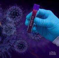 Заразените с коронавирус в света надхвърлиха 5 милиона