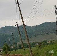 Обезопасяват стълбове и електропроводи заради птиците