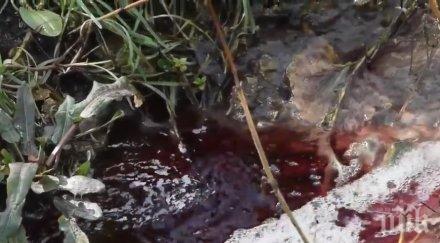 чистят речни корита тополовградско