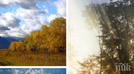 пролетна палитра неделята започва слънце вадим чадърите