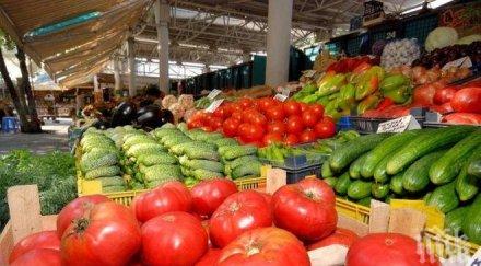 Цените на доматите и краставиците вървят надолу, но тези на сиренето и кашкавала се качват