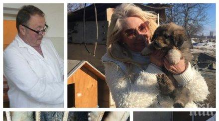 докога безчинствата карцера ужасите дупница продължават ветеринар кастрира кучета касапин снимки