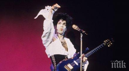 култова китара принс отива търг