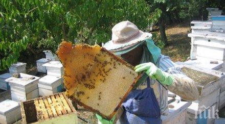 плевен проведе мълчаливо бдение масовото отравяне пчели