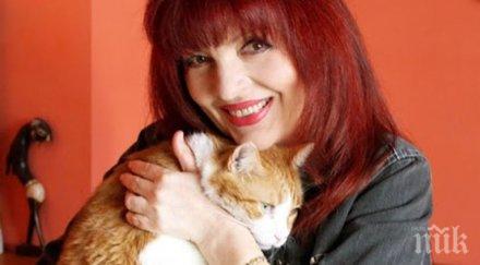 джина иванова трамвай щракна убиец котки снимки