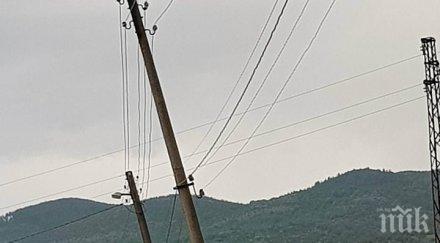 обезопасяват стълбове електропроводи заради птиците