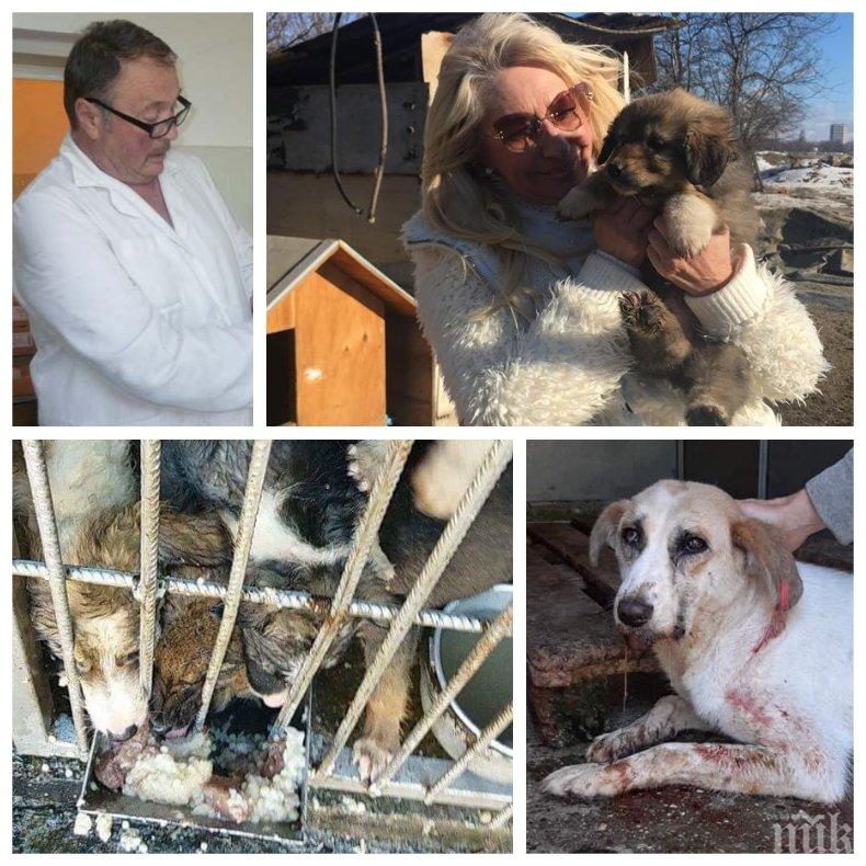 ДОКОГА? Безчинствата в карцера на ужасите в Дупница продължават - ветеринар кастрира кучета като касапин (СНИМКИ 18+)