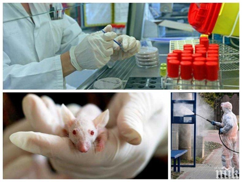 Гръмовно от Китай - има 100% лек срещу COVID-19! Тестовете върху животни са успешни, минава се на хора