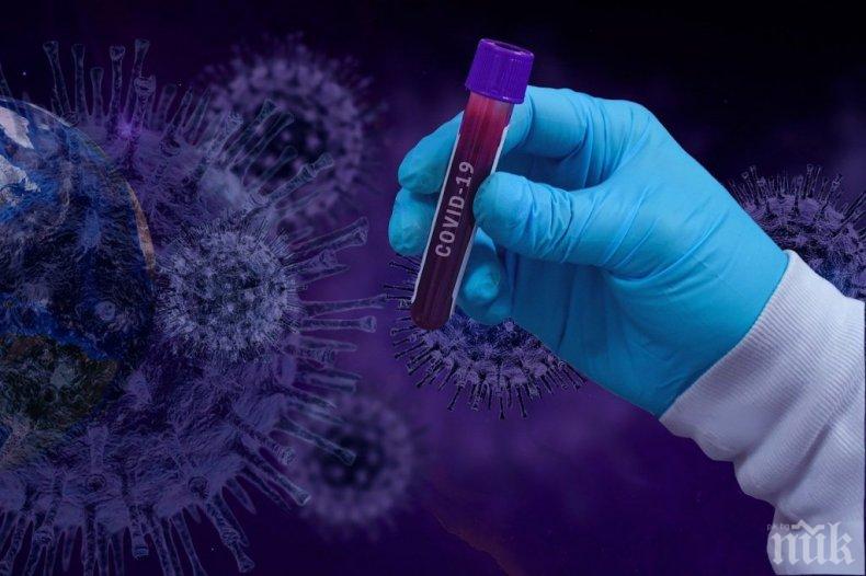 Заразените с коронавирус в света надхвърлиха 5 милиона