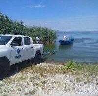 Арестуваха бракониерите, потрошили кола на ИАРА край язовир 