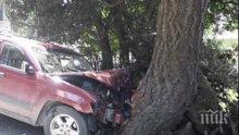Бясна шофьорка заби колата си в дърво, трима са в болница