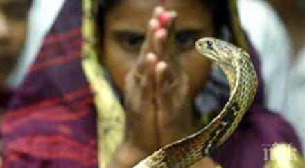 шок мъж уби жена отровни змии