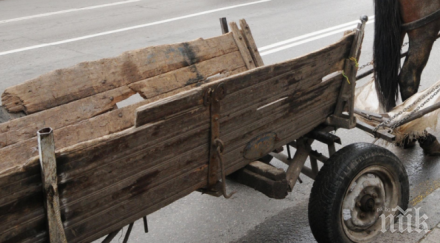 нелепа смърт каруца прегази дядо