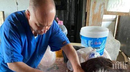 цигани ямбол хвърлиха метрова шахта куче горено цигари снимки