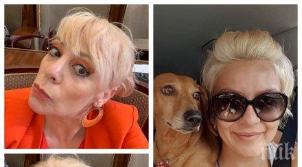 братовчедката халваджиян нападна нона йотова отмъщава капките пее