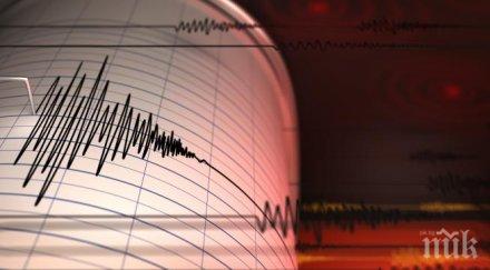 земетресение магнитуд удари новозеландската столица уелингтън