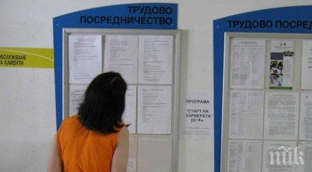 международен доклад всеки пети млад човек света останал без работа заради covid