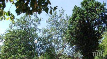 важно без повече коли столичния парк свети никола