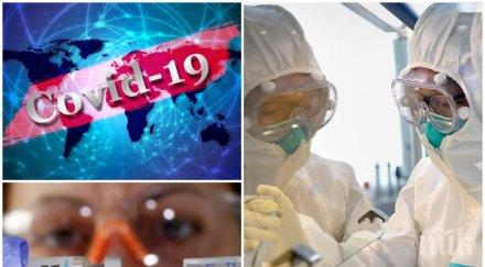 пробив тайланд тества ваксина covid маймуни