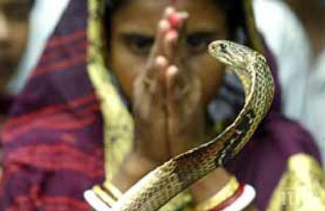 ШОК: Мъж уби жена си с отровни змии