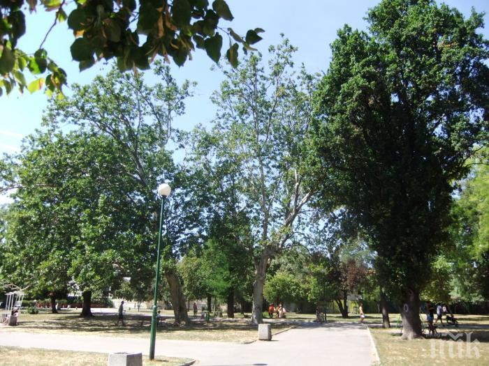 ВАЖНО: Без повече коли в столичния парк Свети Никола