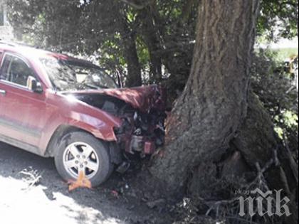 Бясна шофьорка заби колата си в дърво, трима са в болница
