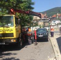 Пуснаха уличния паяк в Дупница