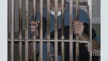 Баща и син извадиха нож срещу мъж при саморазправа