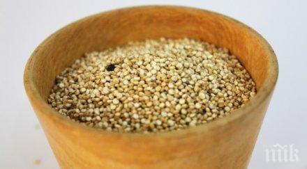 причини ядете амарант