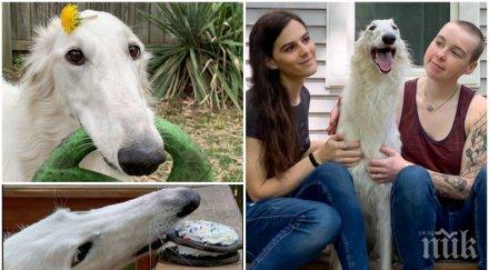 куче сантиметров нос стана интернет звезда