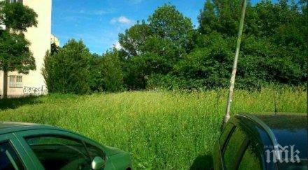 края извънредното положение 600 паркират зелените площи софия