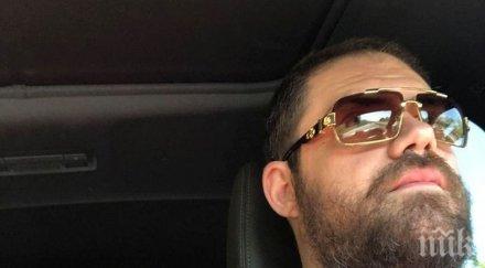 шеф таньо шишков осинови чихуахуа приют