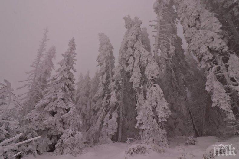 40 сантиметра сняг натрупа в Рила и Пирин