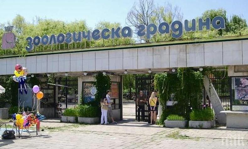 Зоопаркът на София с вход свободен на 1 юни