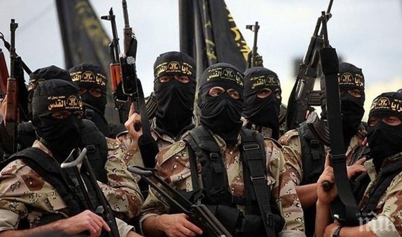 ИДИЛ съобщи, че лидерът ѝ е убит