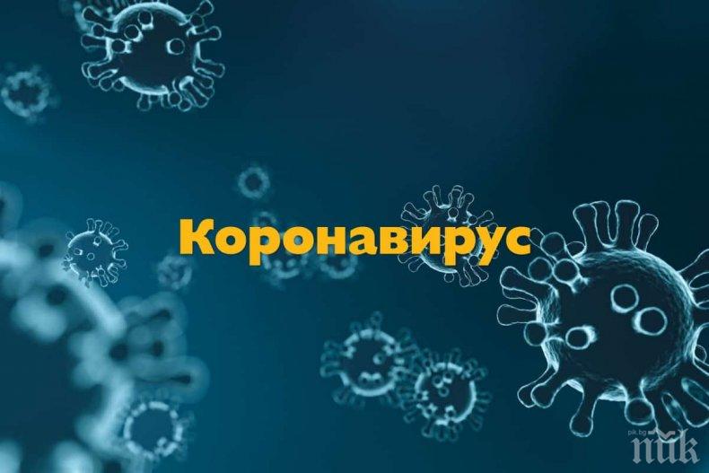 ПРОУЧВАНЕ НА ЕВРОПАРЛАМЕНТА: България е сред най-засегнатите от кризата с COVID-19 страни