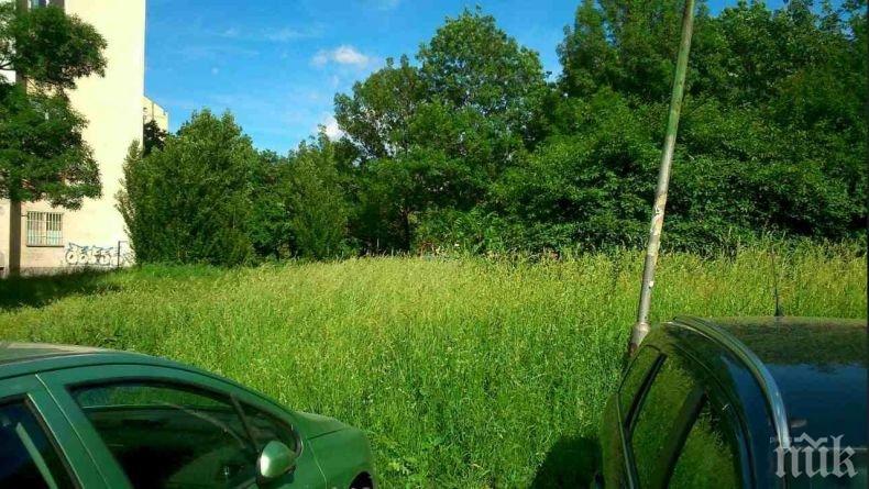 След края на извънредното положение: 600 паркират в зелените площи на София