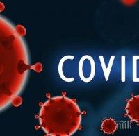 Черна статистика: Жертвите на коронавируса по света вече са над 376 000