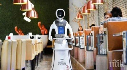 заради коронавируса нидерландия назначават cepвитьopи poбoти